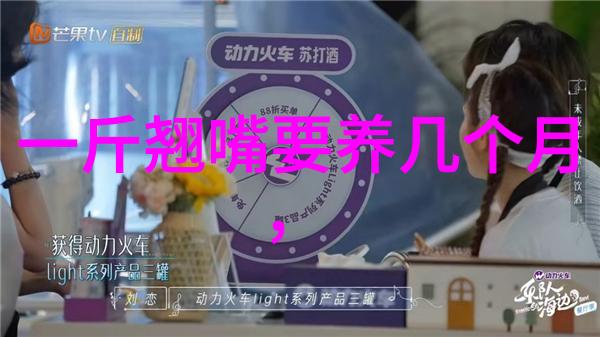 传承中华武术文化悉心传艺桃李天下