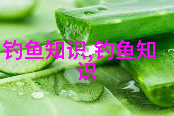 鱼谚与钓鱼智慧阳春三月的水底青苔与钓点选择