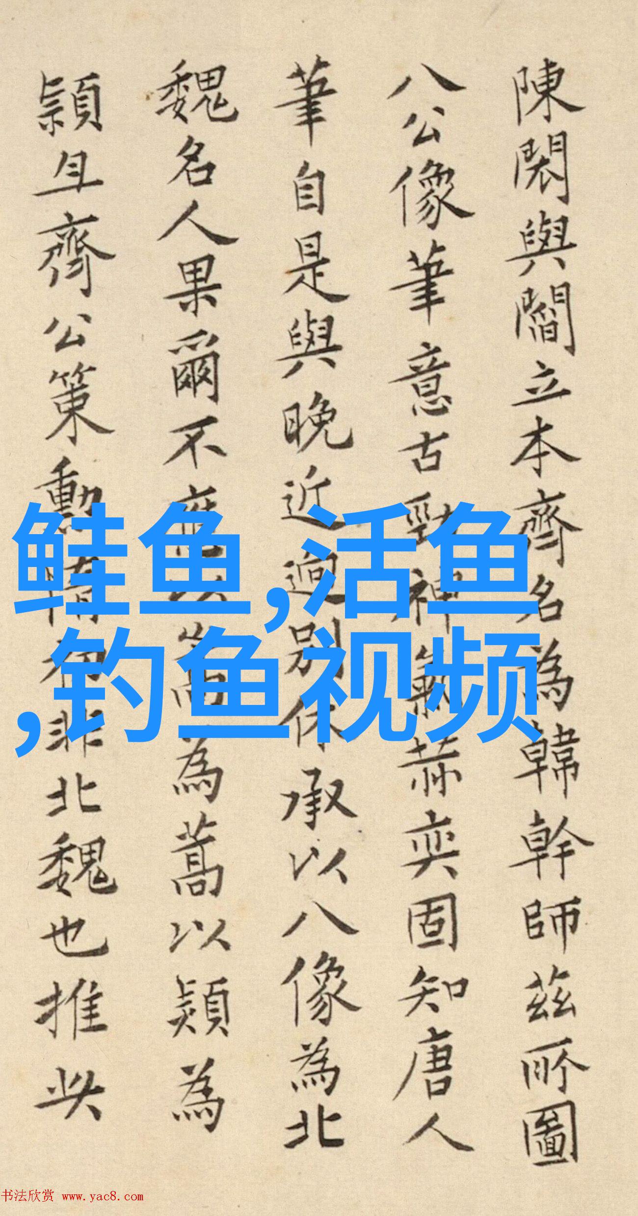 射洪县笫十一届全民健身日 暨百城千乡万村全民健身活动多姿多彩