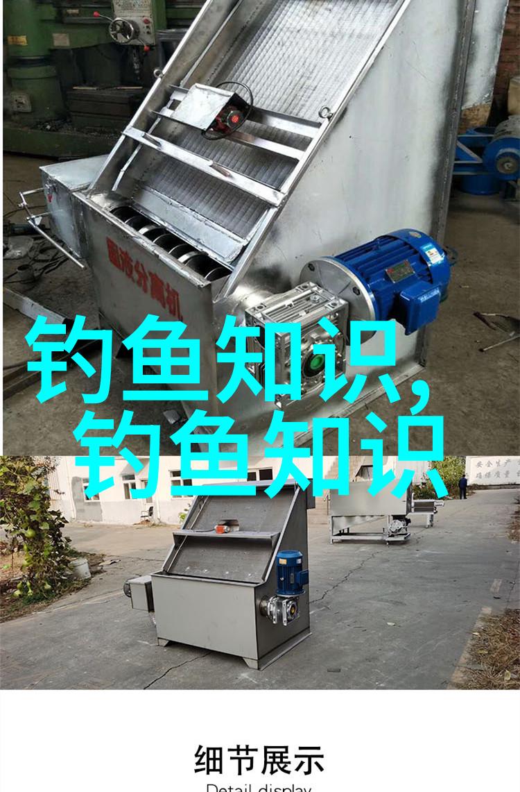 黑坑钓鱼怎样钓位选择