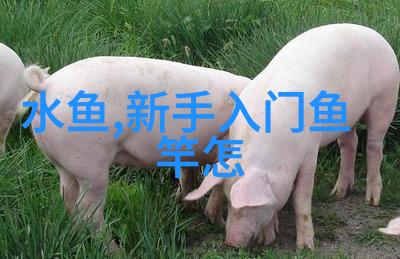 少林梦让我们走在一起