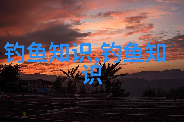 黄尾鲴离底钓浮要怎么调漂和配饵料和钓鲫鱼有什么不同