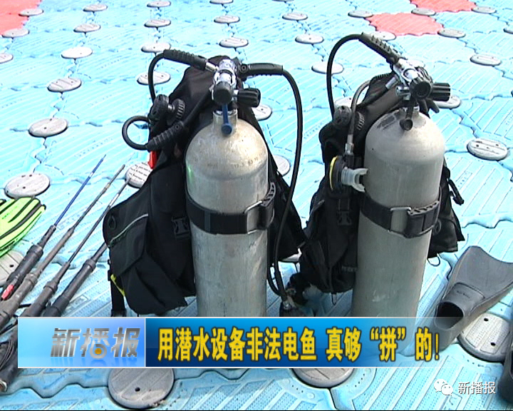 非法电鱼配潜水装备真是打架